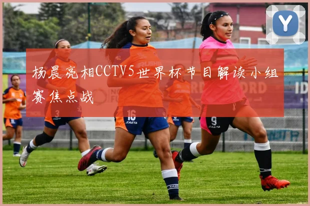 杨晨亮相CCTV5世界杯节目解读小组赛焦点战