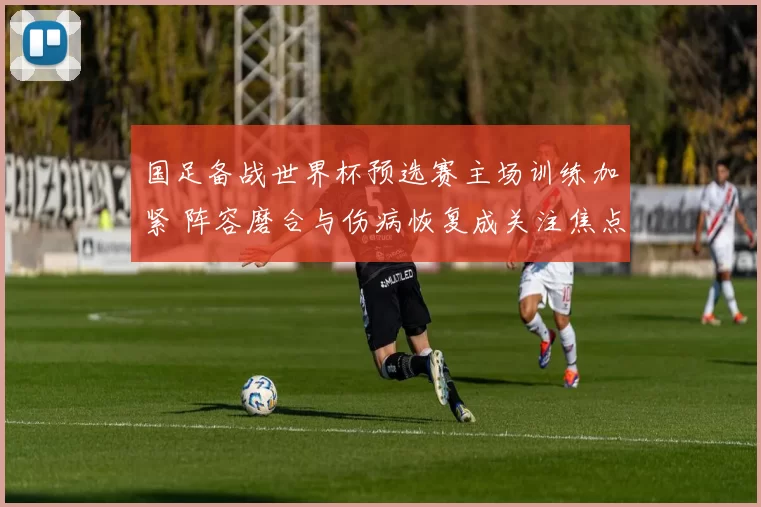 国足备战世界杯预选赛主场训练加紧 阵容磨合与伤病恢复成关注焦点